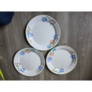 Corelle Fresh Cut 10" Dinner Plates Set Of 3